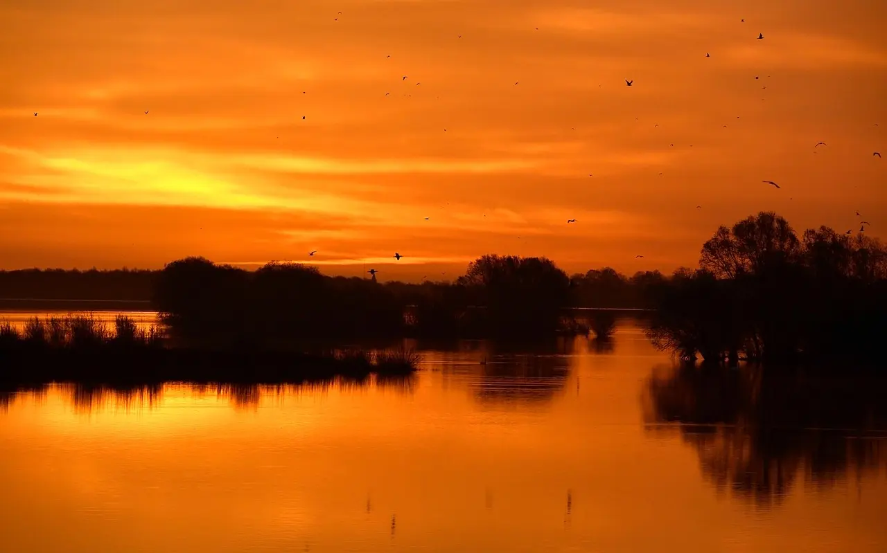 Telehealth Psychiatry & Therapy in Florida