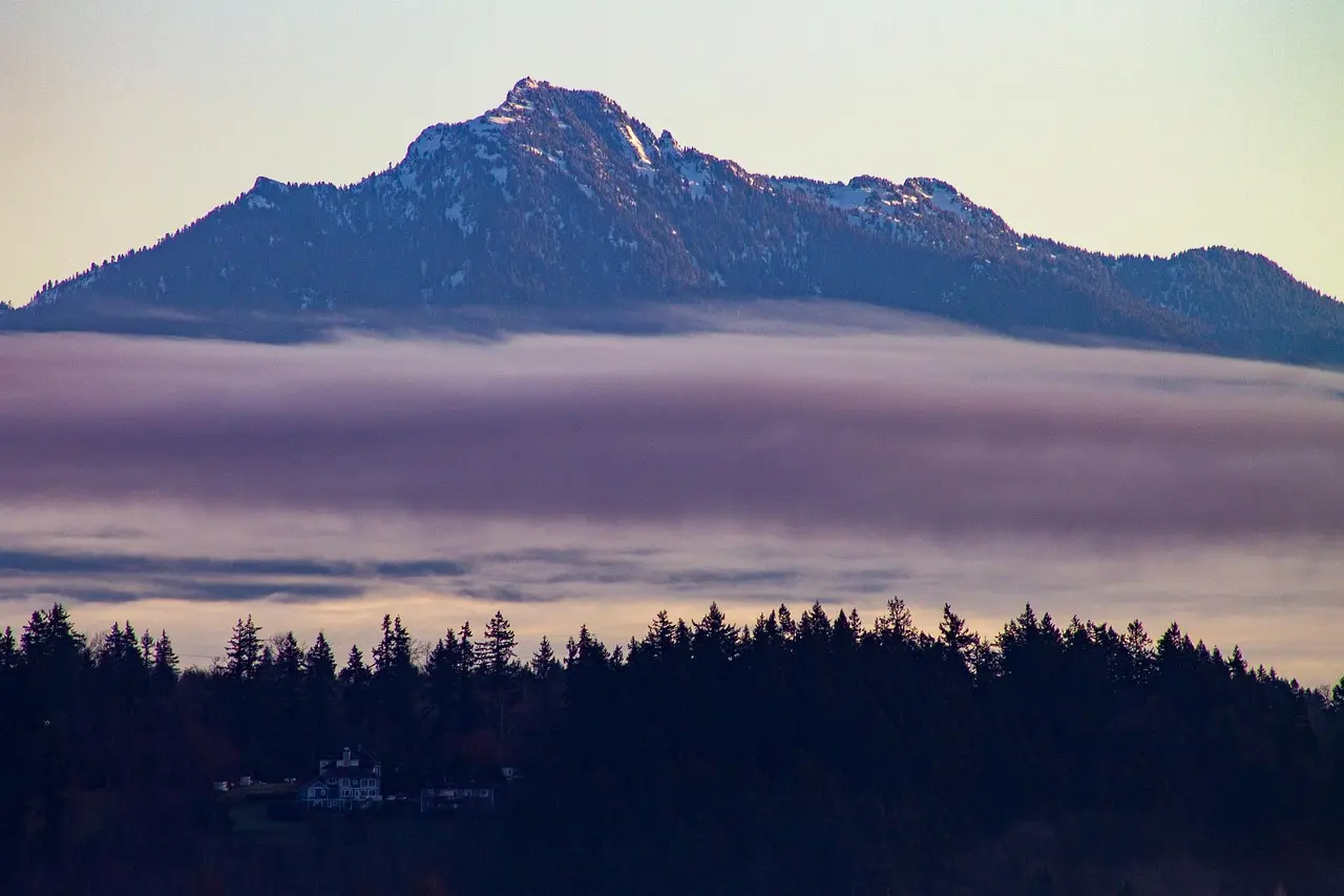 ADHD Psychiatrist Orlando